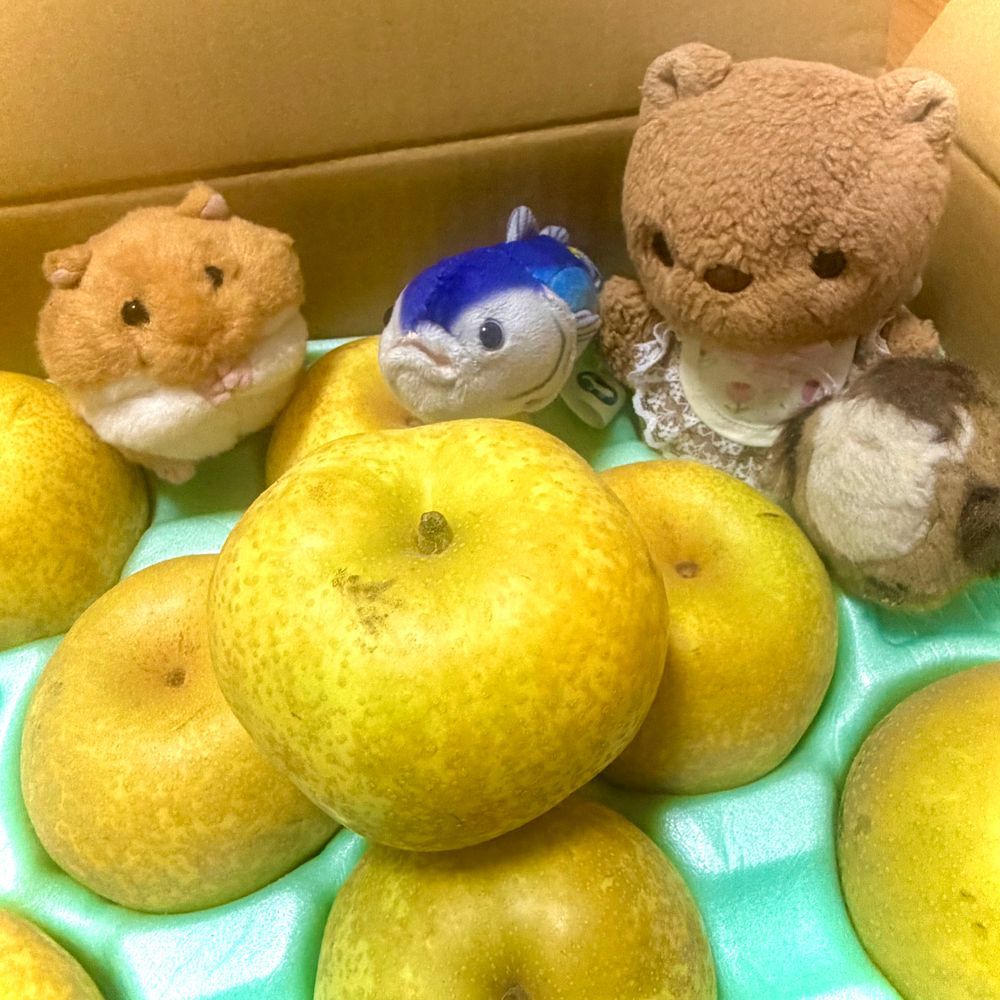 すいぞくかんで おともだち なった まぐろさんと おでかけ したよ💖
すぽんじ ふわふわの めろんけーき おいしかったね🍈✨️

おうちに かえったら かいぬしまま から おなし とどいてたの✨️
みんなで はこに はいって おいしさ ちぇっく だよ～🎶
‪(՞ .  ̫ .՞)︎💕︎