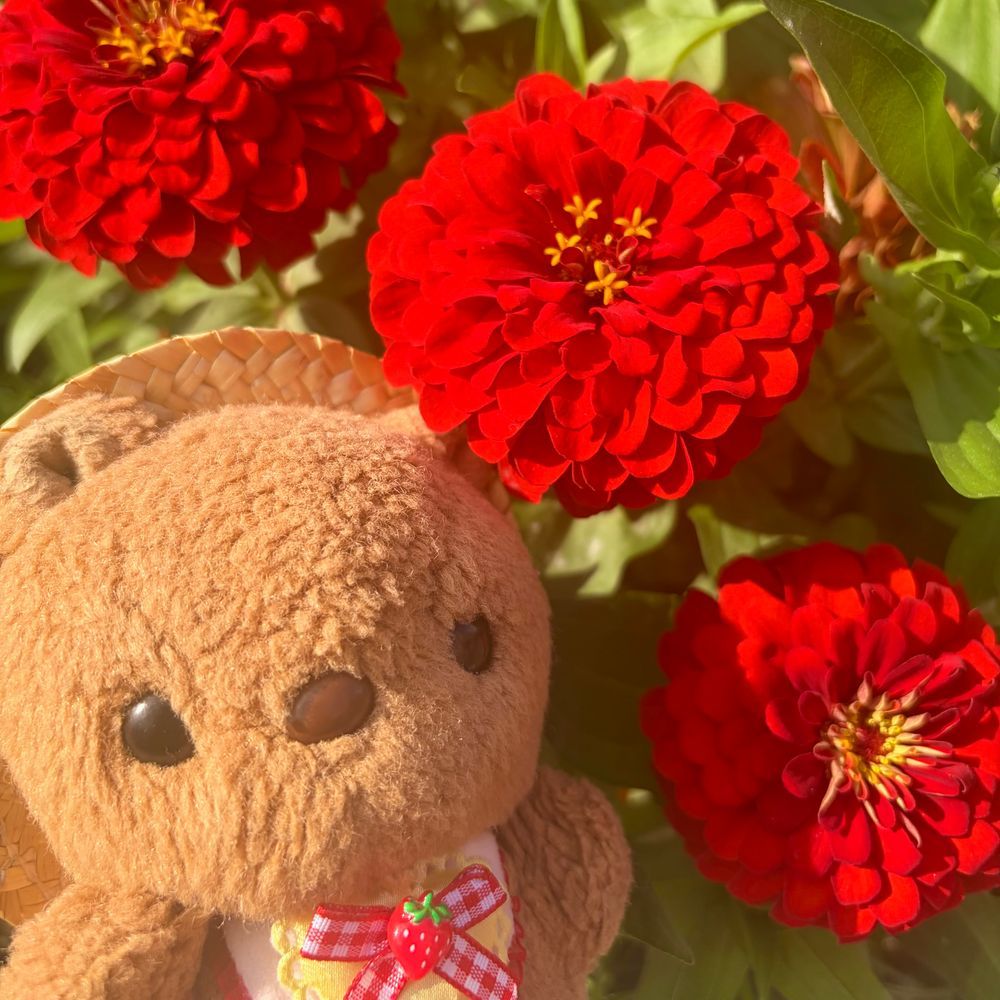 また まなつの あつさが もどって きちゃたよ～☀️

きょは としょかん いって かいぬしの しらべもの📕🔍
おひるは こうえんの かふぇで ほうれんそうと ちーずの ぱん たべたよ🎶
おみせに おひさまの ひかりが はいってきて りすの おかお みずたま もよう なちゃた🤭
‪(՞ .  ̫ .՞)︎💕︎