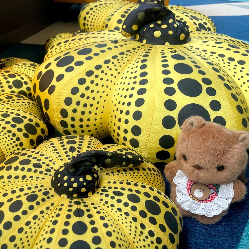きょは あめが ふるまえに おさんぽと おかいもの🎶
かいぬし ほしかった おんがくの ごほんが かえて よかったねえ💖
おうちまで がまん できなくて たりーずさんで ちょとだけ よんじゃてたよ🤭

2まいめ 3まいめは おそらの くにへ おひっこし しちゃた くさまやよいせんせに ありがとの きもちの おしゃしん🌈✨️
すてきで びっくり するよな さくひん りすの あるばむにも のこってるよ～✨️
‪(՞ .  ̫ .՞)︎💕︎