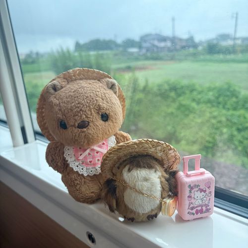 とっきゅう ときわに のって おでかけ🚃🎶

こめんと おへんじ ちょと おそく なるけど ごめんなさいだよ～💦
‪(՞ .  ̫ .՞)︎💕︎