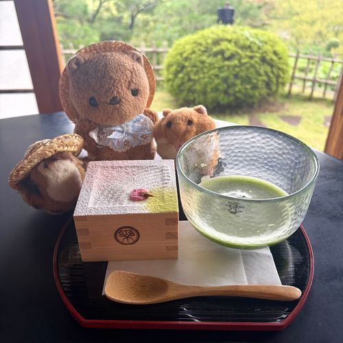🐿みと おしゃしん 3🐿

1、2まいめ
ぜったい いきたいて おもってた かいらくえんの なかに ある こうぶんていの かふぇ🎶
ますに はいった うめの てぃらみすと つめたい おまっちゃを たのんだよ～🍵
おせきからの けしきが とっても すてきで いけて ほんとに よかったあ💖

3まいめ
こうぶんていの いろんな おへや✨️
かいぬしは たけの えの おへやが しずかな うつくしさを かんじて おきにいり なんだって🎶

かいらくえんは とっても ひろくて うめのきが い～ぱい うえて あったよ✨️
うめの おはなの きせつに いって みたいなあ💖
‪(՞ .  ̫ .՞)︎💕︎