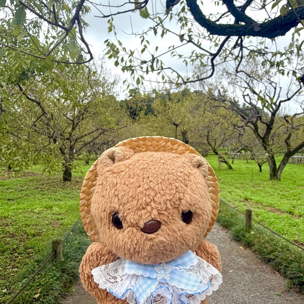 🐿みと おしゃしん 3🐿

1、2まいめ
ぜったい いきたいて おもってた かいらくえんの なかに ある こうぶんていの かふぇ🎶
ますに はいった うめの てぃらみすと つめたい おまっちゃを たのんだよ～🍵
おせきからの けしきが とっても すてきで いけて ほんとに よかったあ💖

3まいめ
こうぶんていの いろんな おへや✨️
かいぬしは たけの えの おへやが しずかな うつくしさを かんじて おきにいり なんだって🎶

かいらくえんは とっても ひろくて うめのきが い～ぱい うえて あったよ✨️
うめの おはなの きせつに いって みたいなあ💖
‪(՞ .  ̫ .՞)︎💕︎