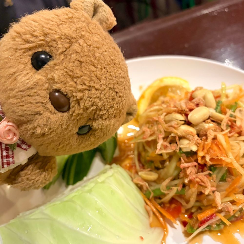 きのう また ちいかわちゃんの えいがを みにいったよ🎶
せいれーんちゃんと おともだち なったから おんなじ ぽーずで おしゃしん ぱちり📸

えいがの あとは たいりょうり たべたよ🇹🇭
2まいめの そむたむが と～っても からくて かいぬしと おともだちは 「たりょうの すぱいすが⋯な！」て しまじろうさんに なちゃてたよ～🤭
‪(՞ .  ̫ .՞)︎💕︎