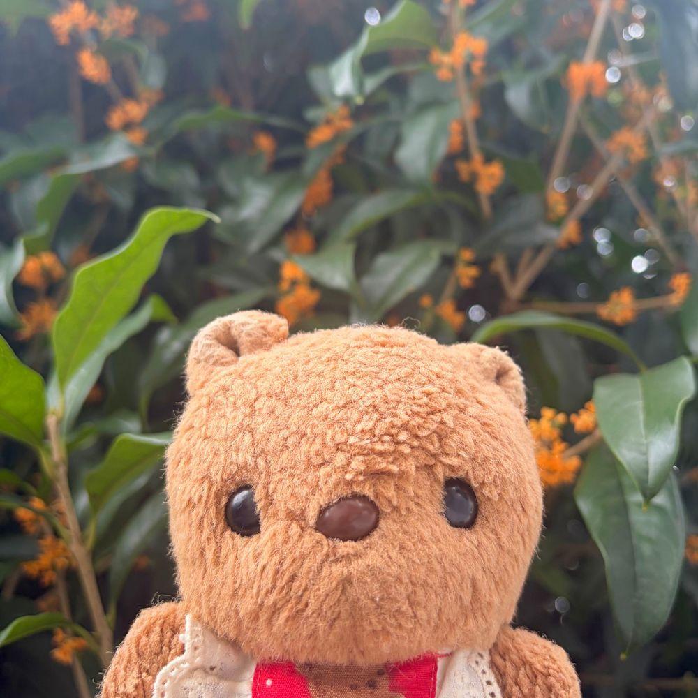 おそとに でたら とっても よい かおり✨️
いつのまにか きんもくせいの おはなが さいてたよ～💖
あめのひ おおいけど こころ うきうき🎶

たのしみに してた ろいほさんの あきの ぶりゅれぱふぇが はじまったから さっそく たべて きたの🎶
おいものと まよったけど くりと かしすの ぱふぇに したよ～🌰✨️
‪(՞ .  ̫ .՞)︎💕︎