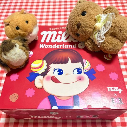 でっかいひとが おたんじょび だったけど おしごとの じゅんびで おうちに いなかったから あいすを かって おいたよ🎶
りすは たべて みたかった ぽっぴんぐみるきー💖
ぽーちは ぺこちゃん だいすきな かいぬしままの おうちへ いくんだって🎁

きのうは よい おてんき だったのに また あめふり だよ～💦
きょも ふるぎの いべんと いって みたけど やぱり れこーどの おみせは なくて かいぬし しょんぼり だったね🥲
‪(՞ .  ̫ .՞)︎💕︎