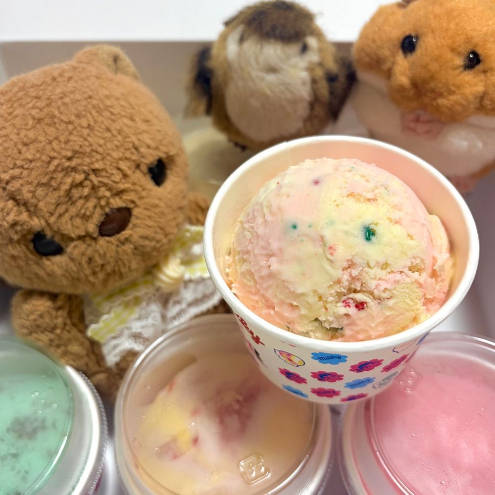 でっかいひとが おたんじょび だったけど おしごとの じゅんびで おうちに いなかったから あいすを かって おいたよ🎶
りすは たべて みたかった ぽっぴんぐみるきー💖
ぽーちは ぺこちゃん だいすきな かいぬしままの おうちへ いくんだって🎁

きのうは よい おてんき だったのに また あめふり だよ～💦
きょも ふるぎの いべんと いって みたけど やぱり れこーどの おみせは なくて かいぬし しょんぼり だったね🥲
‪(՞ .  ̫ .՞)︎💕︎