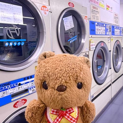 きょも あめが ふったり やんだり😢
こいんらんどりで なつの おふとんや おっきな おせんたくものを かんそう してきたよ～🧺
まってる あいだは らんどりたんけん🎶
ちちゃな にんげんさんと あそんで くれる おともだちが いたよ🧸✨️
‪(՞ .  ̫ .՞)︎💕︎