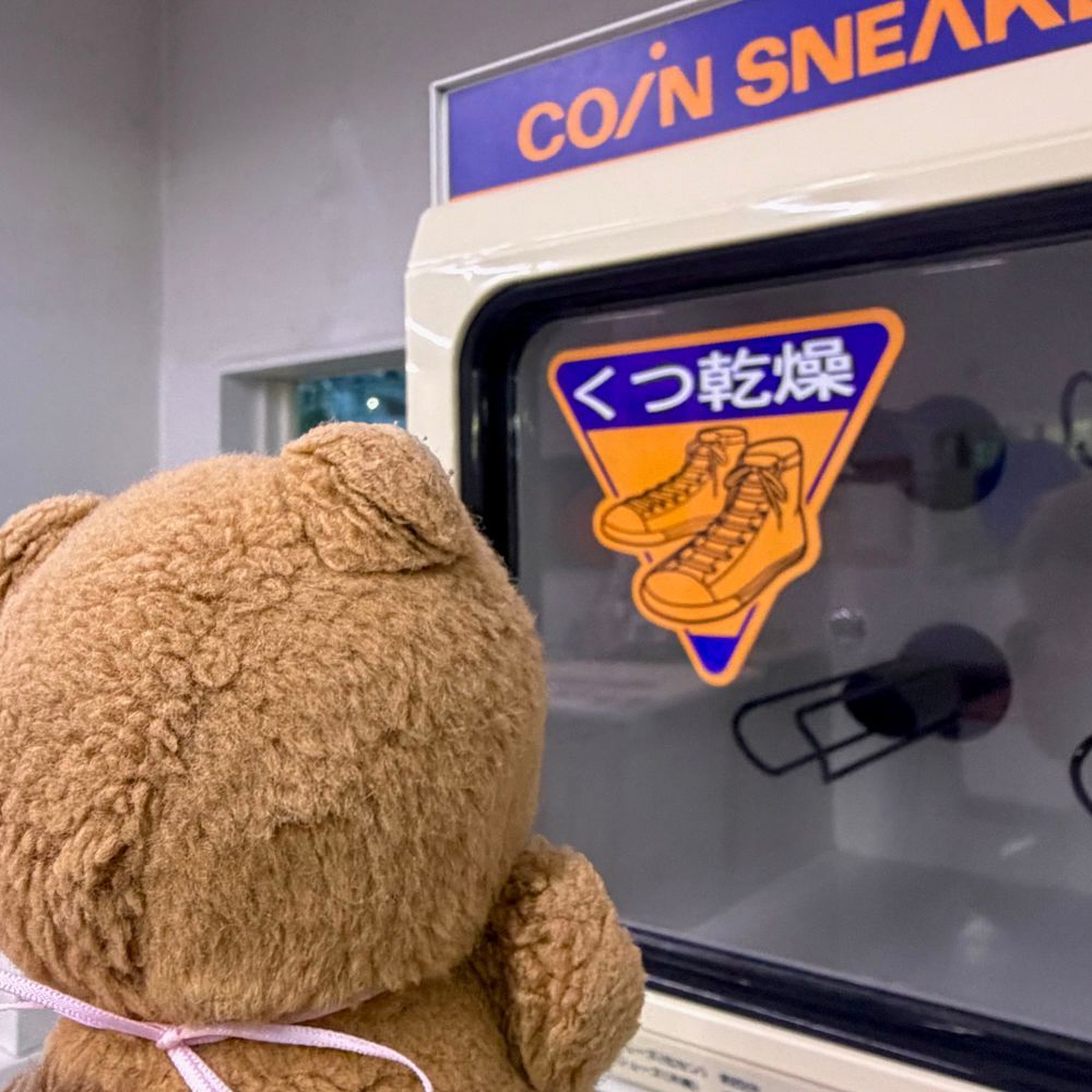 きょも あめが ふったり やんだり😢
こいんらんどりで なつの おふとんや おっきな おせんたくものを かんそう してきたよ～🧺
まってる あいだは らんどりたんけん🎶
ちちゃな にんげんさんと あそんで くれる おともだちが いたよ🧸✨️
‪(՞ .  ̫ .՞)︎💕︎