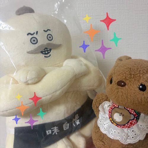 かいぬしの おともだちが しまじろうさんを ぷれぜんと してくれたよ～🎁✨️
どっしり とっても かっこいね💖
ふくろに すてきな めせーじも かいてくれて かいぬし だいかんげき✨️
おいすに すわって もらって ず～っと みつめてるよ🤭
りすも しまじろうさんと なかよし なれるかなあ？
‪(՞ .  ̫ .՞)︎💕︎