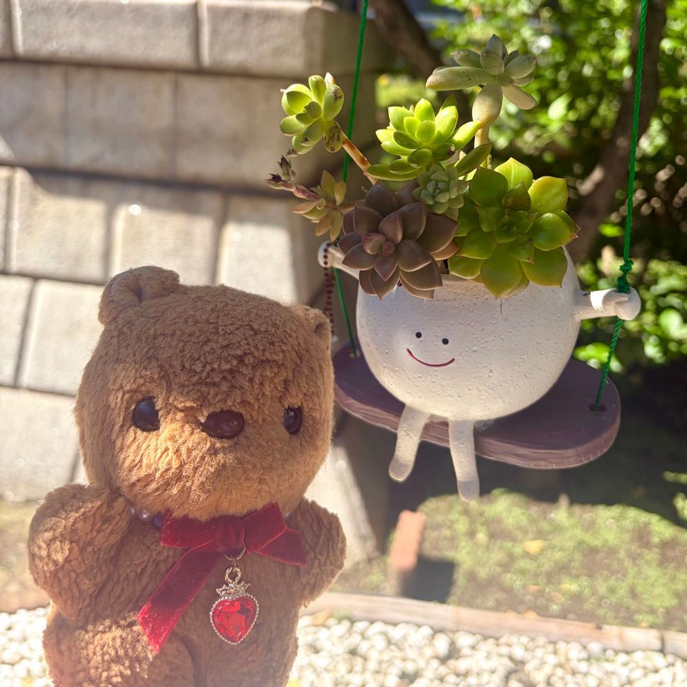 おとといの おしゃしん つづき🐿

こうえんじに ある きしょうじんじゃ いってきたよ～⛩
おてんきの じんじゃは にほんで ここだけ なんだって✨️
あきの おでかけ おてんきが よくなるよに おねがい してきたよ🎶
みんなの おうちの ほうも おひさま げんきな ひが おおく なりますよに💖
おまもりも かってもらったよ～☀️
‪(՞ .  ̫ .՞)︎💕︎