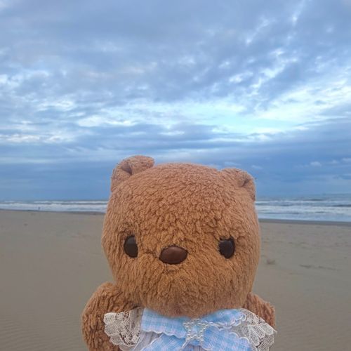 きのうは まいとし こうれいで かいぬしの なかよしさんが でる うみの おんがくふぇすに いってきたよ～🔊🎶
たいふうの ひがい おおきな ところ だから えんきに なったり たいへんな こと いぱい あったみたい💦

かいぬしが いそがしで おしゃしん ぜんぜん とれなかったから りすは ちょと さみしいなあ🥲

ことしも ちちゃな おんせんの まちに おとまり したよ♨️
2まいめは かしきりの おふろに はいったあとの かいぬしと おそとで のんびり してる おしゃしん🎶
おほしさま さがしたけど おそら くもり だったよ～︎︎☁️
‪(՞ .  ̫ .՞)︎💕︎