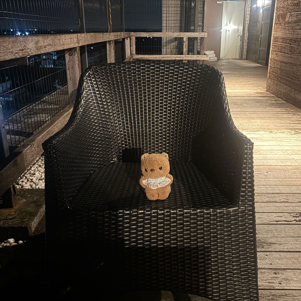 きのうは まいとし こうれいで かいぬしの なかよしさんが でる うみの おんがくふぇすに いってきたよ～🔊🎶
たいふうの ひがい おおきな ところ だから えんきに なったり たいへんな こと いぱい あったみたい💦

かいぬしが いそがしで おしゃしん ぜんぜん とれなかったから りすは ちょと さみしいなあ🥲

ことしも ちちゃな おんせんの まちに おとまり したよ♨️
2まいめは かしきりの おふろに はいったあとの かいぬしと おそとで のんびり してる おしゃしん🎶
おほしさま さがしたけど おそら くもり だったよ～︎︎☁️
‪(՞ .  ̫ .՞)︎💕︎