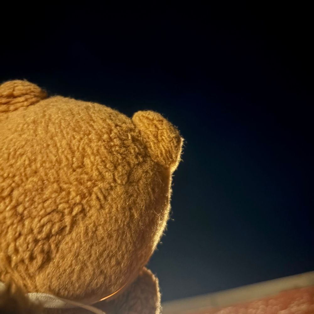 きのうは まいとし こうれいで かいぬしの なかよしさんが でる うみの おんがくふぇすに いってきたよ～🔊🎶
たいふうの ひがい おおきな ところ だから えんきに なったり たいへんな こと いぱい あったみたい💦

かいぬしが いそがしで おしゃしん ぜんぜん とれなかったから りすは ちょと さみしいなあ🥲

ことしも ちちゃな おんせんの まちに おとまり したよ♨️
2まいめは かしきりの おふろに はいったあとの かいぬしと おそとで のんびり してる おしゃしん🎶
おほしさま さがしたけど おそら くもり だったよ～︎︎☁️
‪(՞ .  ̫ .՞)︎💕︎