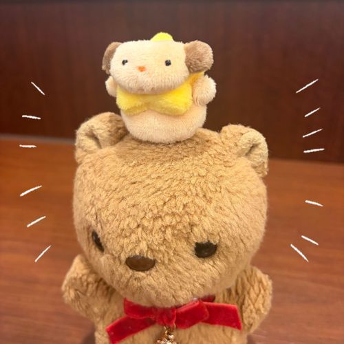 まだ とうこう してなかった せんしゅの おしゃしん📸

なみすけちゃんの おたんじょびを おいわい したあとは あたらし おともだち ほしあたまちゃんを おむかえ してきたよ～🎶
ちちゃくて とっても かわいでしょ💖
りすの あたまの うえで あそぶのが たのしのかなあ🤭
‪(՞ .  ̫ .՞)︎💕︎