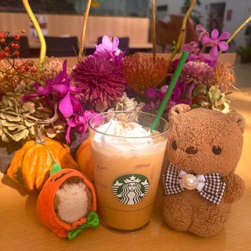きょは ひさしぶりに はなびより いってきたよ～🌼🌸
ついて すぐ おんしつの すたばさん🎶
ごんちゃんの とうこうで きになってた ぱんぷきんすぱいすらて のんだよ🎃
ほんとに いろんな すぱいすの おあじが する～👀✨️
まなつびで あちあち だったから つめたいのに して ほいっぷすくなめ むしぼうみるく🎶

かぼちゃに へんしん しちゃた ちゃーちゃんと いろいろ おしゃしん とったから また とうこう するね～📸
‪(՞ .  ̫ .՞)︎💕︎