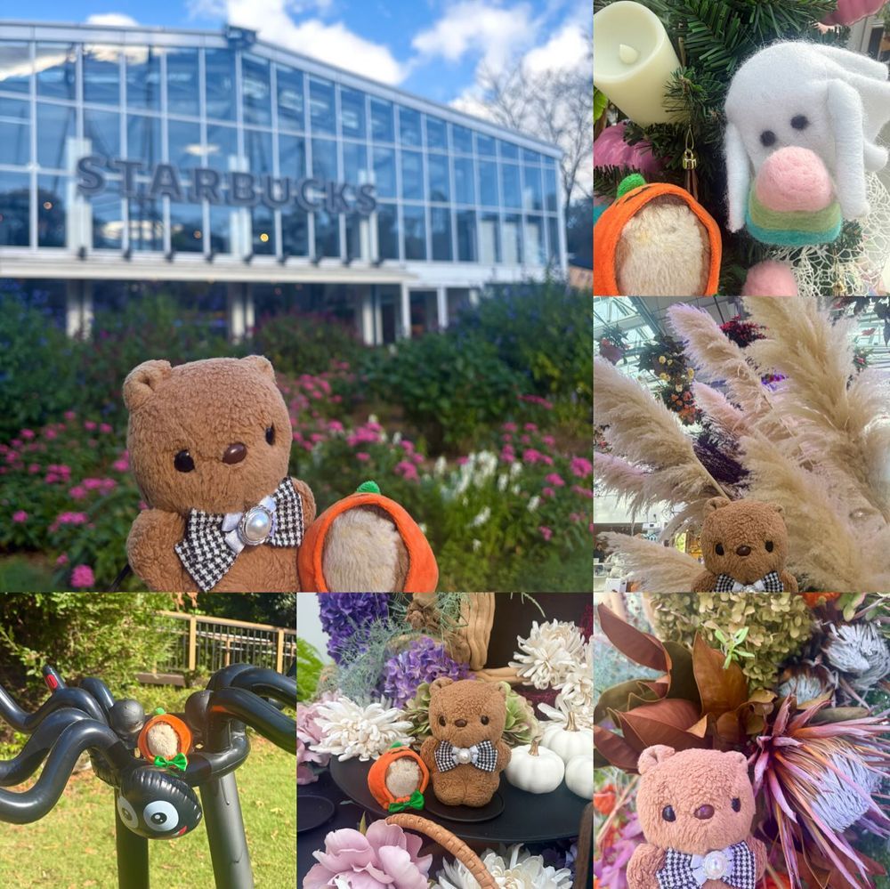 おしゃしん つづき🐿
はなびよりには ふわもこの かわうそさんと ほんものの かわうそさんが いるんだよ~💖
ほんものの かわうそさんに あって ちゃーちゃんは びっくり しちゃた みたい🤭
3まいめは おにわで みつけた はろうぃんからーの とうがらし だよ~🌶
はっぱも くろくて びっくり✨️
はろうぃんの ひが ますます たのしみに なちゃう おでかけ だったよ~🎃👻🎶
(՞ . ̫ .՞)︎💕︎