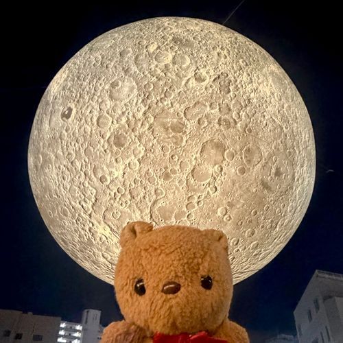 ちょとまえの おしゃしん📸

ことしも しもきたざわ むーんあーとないと いってきたよ～🎶
あきちに ぽっかり うかんでる おつきさま ふしぎ だよね～🌕✨️
ことしは あかりが つかない とらぶるも あって したに おろして しぼんだ おつきさまも みられたよ🤭
2まいめの あーとさくひんも おもしろいよねえ😭😈🎶
‪(՞ .  ̫ .՞)︎💕︎
