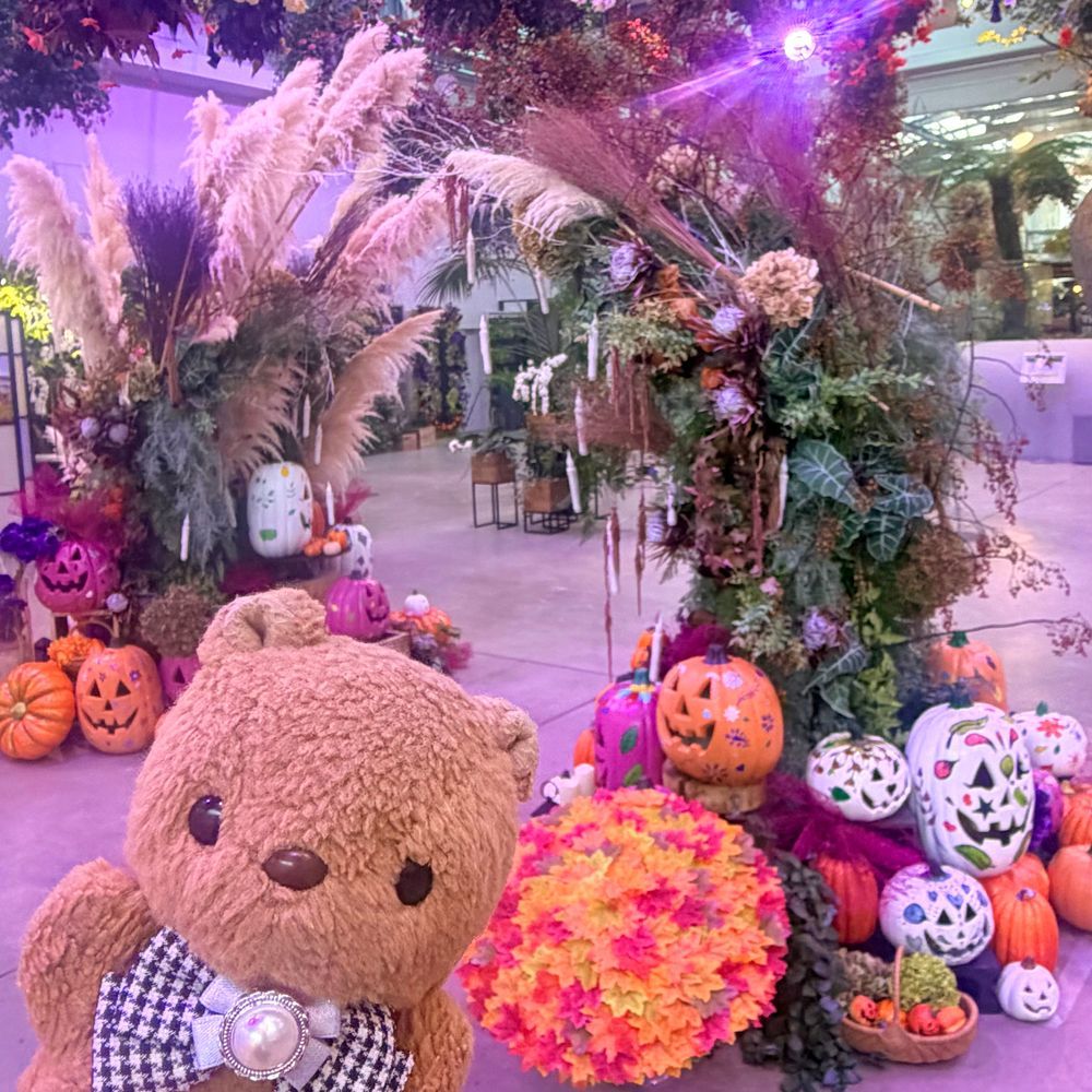きのうの つづき🐿

ことしの はなびよりの はろうぃんは めきしこの ししゃのひ を おもいだすよな かざりで とっても かわいかったの🎃

3まいめの おしゃしんは おそとが あったかで ねむくなちゃた りすだよ～💤
ちゃーちゃんは もっと あそびたそだね🤭

もうちょと おしゃしん とうこう するね～🎶
‪(՞ .  ̫ .՞)︎💕︎