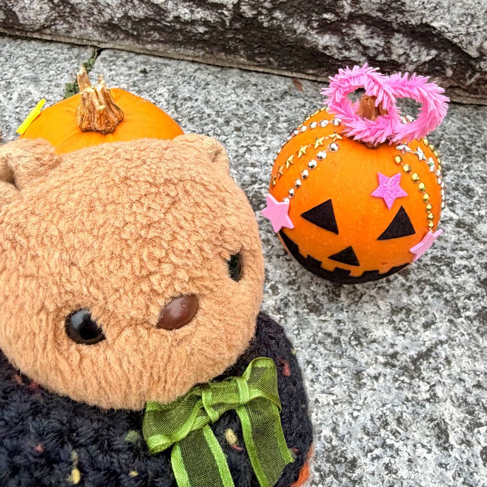 きのうと きょは えきまえで はろうぃんの おまつり やってたよ~👻🎶
おてんきが よくなくて かそうぱれーどは ちゅうし なちゃた みたい🥲
あめが ふってない じかんに ちゃーちゃんと おしゃしん とりに いったの📸
かいだんに かぼちゃさんが い~ぱい🎃✨️
ちちゃな にんげんさんが つくった おしゃれな かぼちゃが かわいかったよ~💖
ちゃーちゃんが いつのまにか がーごいるさんと おともだち なってて びっくり💦
りすは ちょと こわくて けいかいの おかお なちゃた💦
(՞ . ̫ .՞)︎💕︎