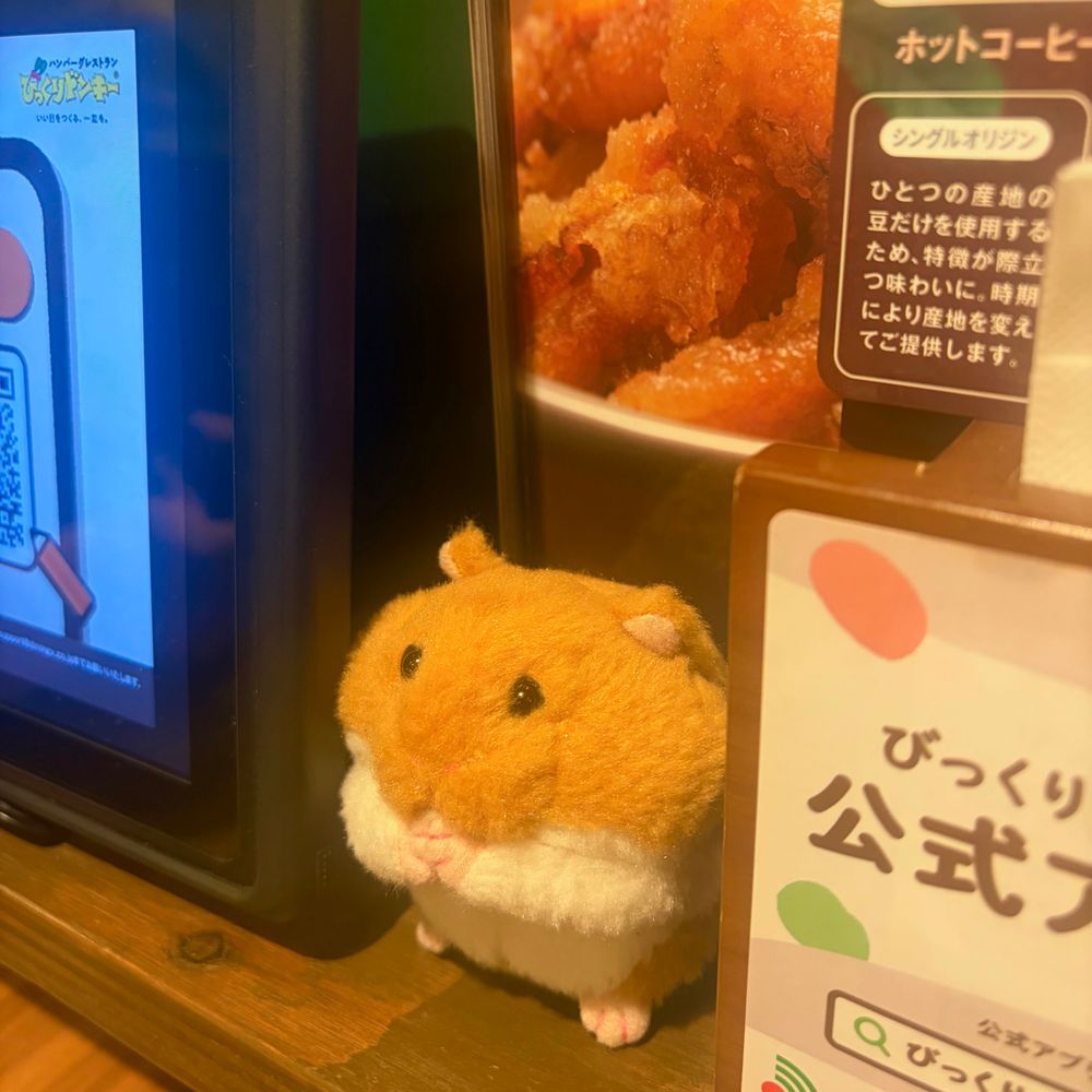 びくどんさんで おゆうはん🎶
はやめの じかんに いったら まだ らんちも やってたよ～🍽️
りすと かいぬしは いつもの ぱいんと えっぐ🍍🍳 ✨️

びくどんさんが だいすきな でんさんは かえりたく なくて めにゅの うしろに かくれちゃた💦
おみせに すみたいんだって～🤭
‪(՞ .  ̫ .՞)︎💕︎