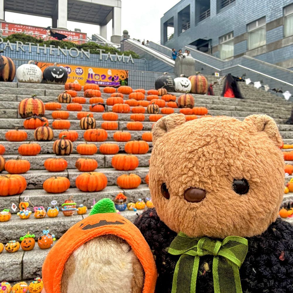きのうと きょは えきまえで はろうぃんの おまつり やってたよ~👻🎶
おてんきが よくなくて かそうぱれーどは ちゅうし なちゃた みたい🥲
あめが ふってない じかんに ちゃーちゃんと おしゃしん とりに いったの📸
かいだんに かぼちゃさんが い~ぱい🎃✨️
ちちゃな にんげんさんが つくった おしゃれな かぼちゃが かわいかったよ~💖
ちゃーちゃんが いつのまにか がーごいるさんと おともだち なってて びっくり💦
りすは ちょと こわくて けいかいの おかお なちゃた💦
(՞ . ̫ .՞)︎💕︎