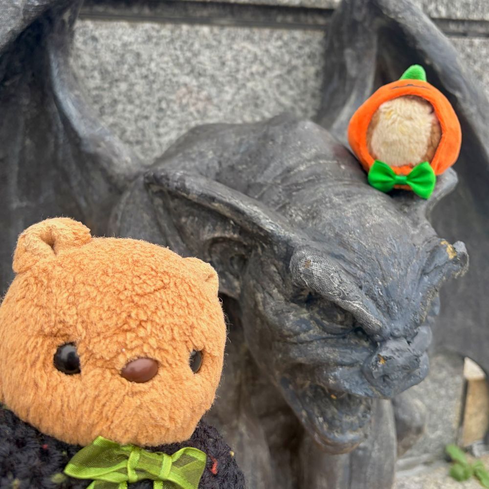 きのうと きょは えきまえで はろうぃんの おまつり やってたよ~👻🎶
おてんきが よくなくて かそうぱれーどは ちゅうし なちゃた みたい🥲
あめが ふってない じかんに ちゃーちゃんと おしゃしん とりに いったの📸
かいだんに かぼちゃさんが い~ぱい🎃✨️
ちちゃな にんげんさんが つくった おしゃれな かぼちゃが かわいかったよ~💖
ちゃーちゃんが いつのまにか がーごいるさんと おともだち なってて びっくり💦
りすは ちょと こわくて けいかいの おかお なちゃた💦
(՞ . ̫ .՞)︎💕︎