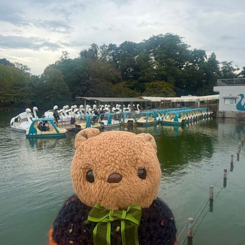 きょは かいぬしの ようじで きちじょうじ🎶
かえり ちょとだけ いのかしらこうえん いけたよ🦢✨️

べんてんさまの ところで おかねも あらったから りす おこづかい ふえちゃうかも～💴

4まいめの おしゃしんは とっても きになった からい かきのたねの じどうはんばいき🤭🌶

なんだか かぜが つめたく なってきたね🍂
りすは あったかな あみあみの およふく かいぬしも おきにいりの あきの およふくが きられて うきうき だったよ～💖
‪(՞ .  ̫ .՞)︎💕︎