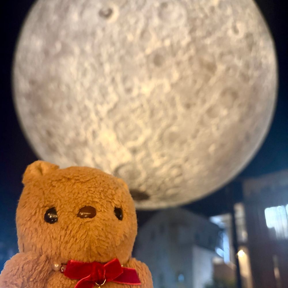 ちょとまえの おしゃしん📸
ことしも しもきたざわ むーんあーとないと いってきたよ~🎶
あきちに ぽっかり うかんでる おつきさま ふしぎ だよね~🌕✨️
ことしは あかりが つかない とらぶるも あって したに おろして しぼんだ おつきさまも みられたよ🤭
2まいめの あーとさくひんも おもしろいよねえ😭😈🎶
(՞ . ̫ .՞)︎💕︎