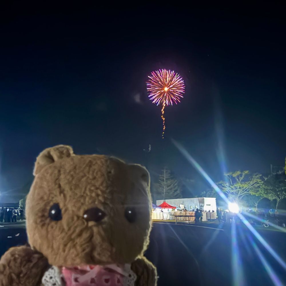 きのうは かいぬしの なかよしさんが でる おんがくふぇすに およばれして ちょとだけ とおくに いってきたよ～💖 
りすも こっそり ばっぐから でて だんす🎶
いちまいめは きんぐおぶすてーじ🎤 らいむすたーさんの らいぶが はじまる ところだよ～✨️

おしゃしん じょうずに とれなかったけど よるは はなびも あがって わくわく したよ～🎇
‪(՞ .  ̫ .՞)︎💕︎