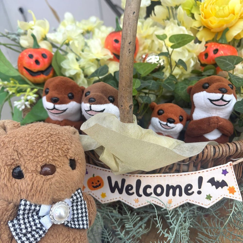 おしゃしん つづき🐿
はなびよりには ふわもこの かわうそさんと ほんものの かわうそさんが いるんだよ~💖
ほんものの かわうそさんに あって ちゃーちゃんは びっくり しちゃた みたい🤭
3まいめは おにわで みつけた はろうぃんからーの とうがらし だよ~🌶
はっぱも くろくて びっくり✨️
はろうぃんの ひが ますます たのしみに なちゃう おでかけ だったよ~🎃👻🎶
(՞ . ̫ .՞)︎💕︎