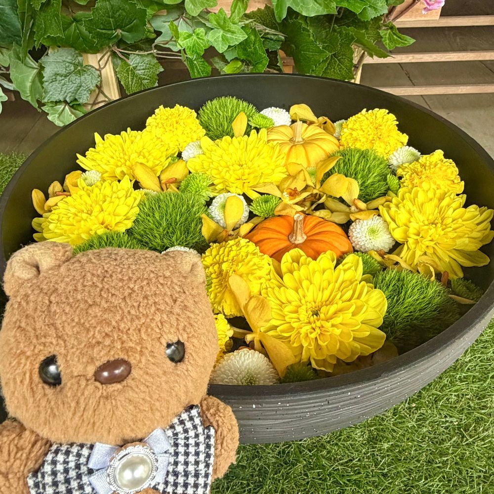 きょの おひるは こうえんの かふぇで こうちゃの くろわっさん🥐🎶
りす ぱんの なかで くろわっさんが いちばん すき💖
とうにゅの らても とっても おいしかったよ～☕️✨️

こうえんの なかに ある むかしの おにわで はなちょうずの いべんとが はじまってたの🌸🌼
すたんぷらりーが できるんだって🎶
おはなが きれいな うちに みられて よかったよ✨️
‪(՞ .  ̫ .՞)︎💕︎