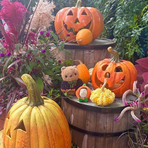 はっぴはろうぃん🎃👻🦇🕸

みんな おかし たべたかなあ🎶
りすは だいすきな はろうぃんを ぜんりょくで たのしんで きたよ～😈✨️

1まいめ 2まいめ
よこはま いんぐりっしゅがーでんで とった おしゃしん📸✨️
にんげんさんが とっても おおくて ほんとに おまつり みたい だったよ～✨️

3まいめ
きょねん たべて と～っても おいしかった はろうぃんぱふぇ ことしも おねだり しちゃた🎶

4まいめ
おうちの みんなに おかしの おみやげ🍪🍬✨️
おしゃしんを ちゃっぴーさんに かわいく して もらったの💖
‪(՞ .  ̫ .՞)︎💕︎