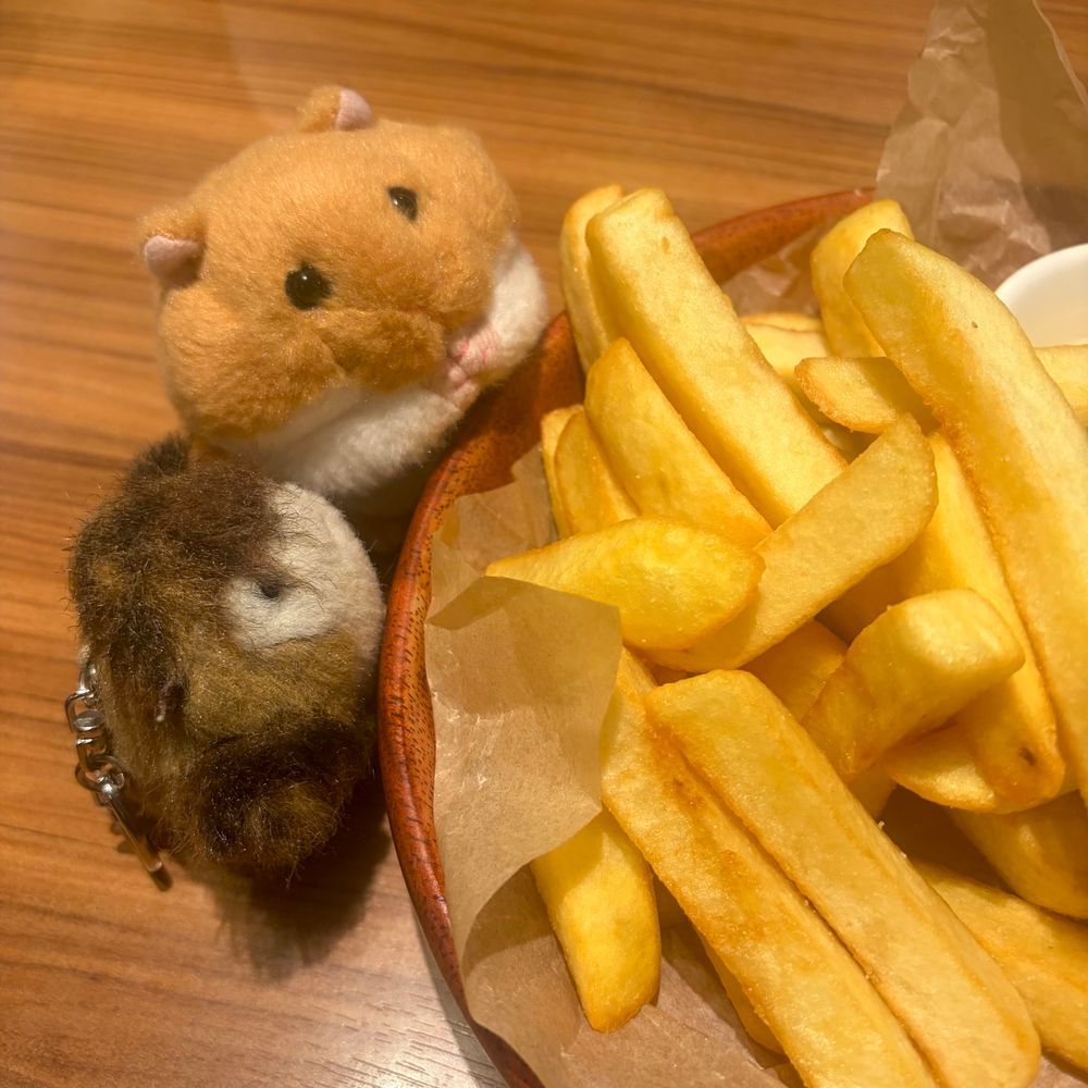 びくどんさんで おゆうはん🎶
はやめの じかんに いったら まだ らんちも やってたよ～🍽️
りすと かいぬしは いつもの ぱいんと えっぐ🍍🍳 ✨️

びくどんさんが だいすきな でんさんは かえりたく なくて めにゅの うしろに かくれちゃた💦
おみせに すみたいんだって～🤭
‪(՞ .  ̫ .՞)︎💕︎