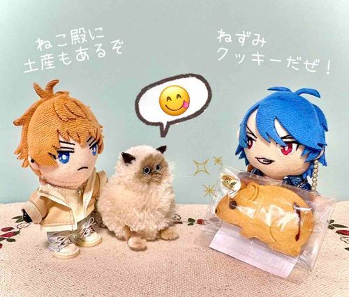 😸「昨日行った喫茶店で買ってきたんだよな！俺にもちょっと分けてくれよ？🍪」

🐦「喜んでくれたようだな。皆でコーヒータイムにしよう☕️」