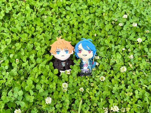 🍀🍀🍀