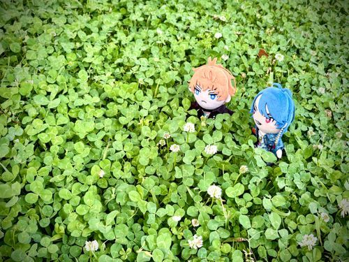 🐦「まるで緑のじゅうたんだな」

😸「四ツ葉のクローバーあっかな？🍀」