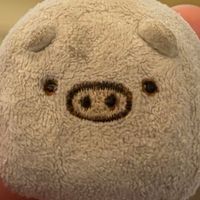 ブーちゃん