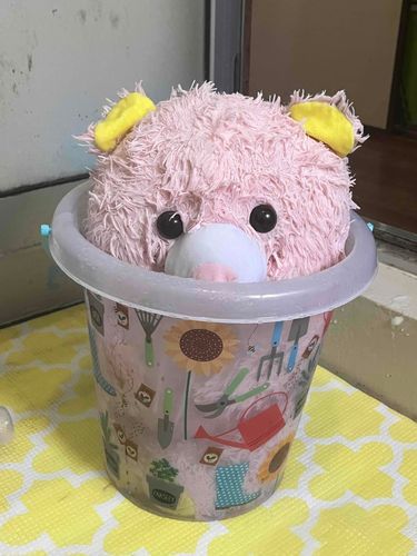 ごしゅじんとおふろ入ってます