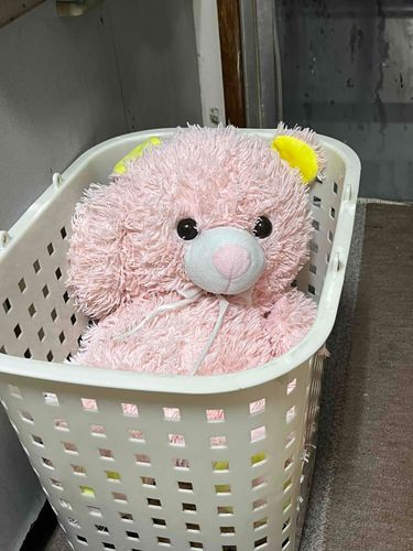 いまから乾燥機かけてもらってきます