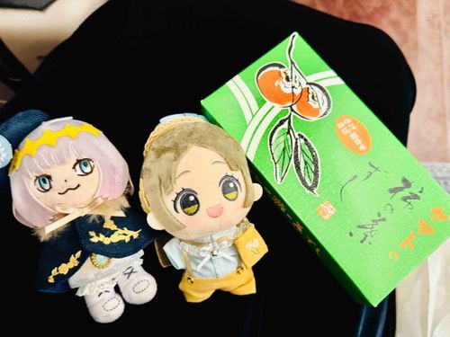 大阪旅行の帰りに、最後に撮った写真だよ。柿の葉寿司の駅弁さ！と～っても美味しかった！
とっても楽しい大阪旅行だったよ。また行きたいな！
