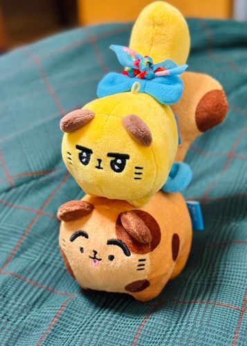 ｸﾐﾀｲｿｰ