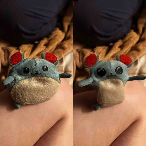 ₍ᐢɞ̴̶̷ ·̫ ɞ̴̶̷ᐢ₎|₍ᐢ✨ ·̫ ✨ᐢ₎