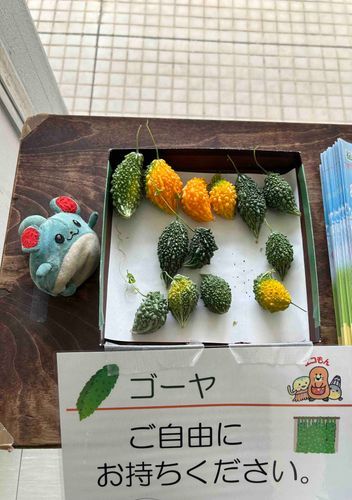₍ᐢɞ̴̶̷ ·̫ ɞ̴̶̷ᐢ₎🥒