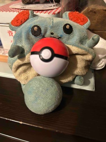 ₍ᐢɞ̴̶̷ ·̫ ɞ̴̶̷ᐢ₎⚾️