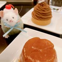 ここの