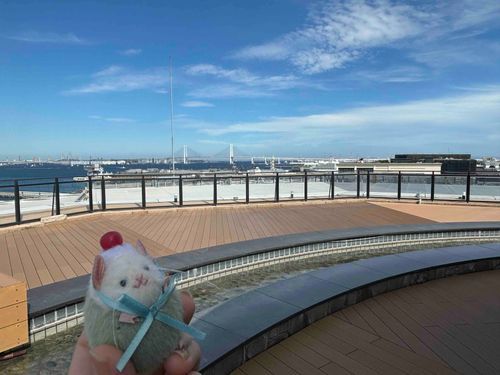 晴れ渡る空ー