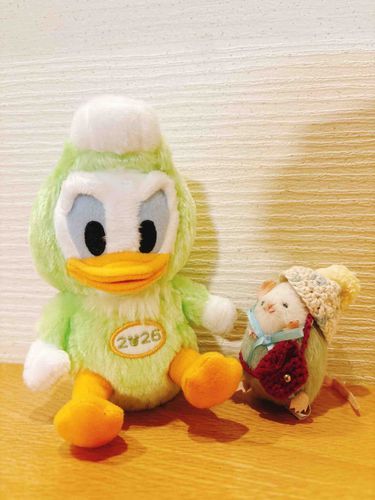 今年も宜しくお願いします🎉