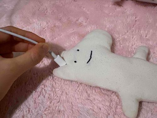 あ、ゴメンそこ差したら充電できるとかではないんだよね