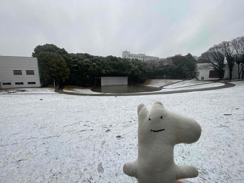 うわぁーー⛄️❄️