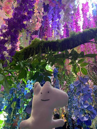 にながわみかさんのやつ行ったー💐